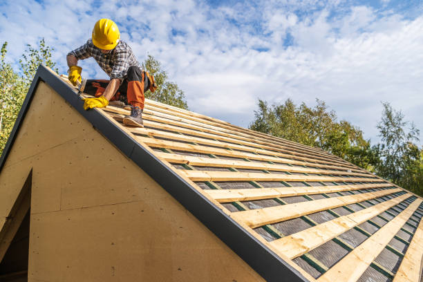 Best Roof Waterproofing Services  in Lake Zurich, IL