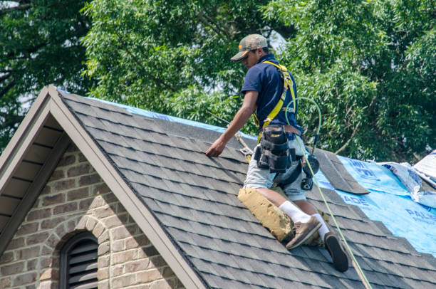 Best Roof Leak Repair  in Lake Zurich, IL